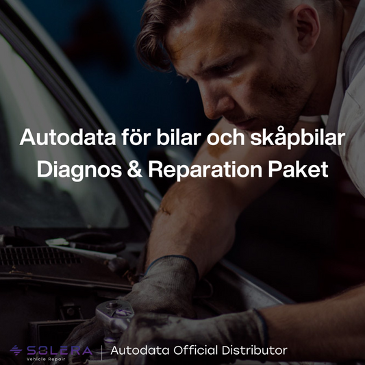 Autodata Online Diagnos & Reparation 1 användare